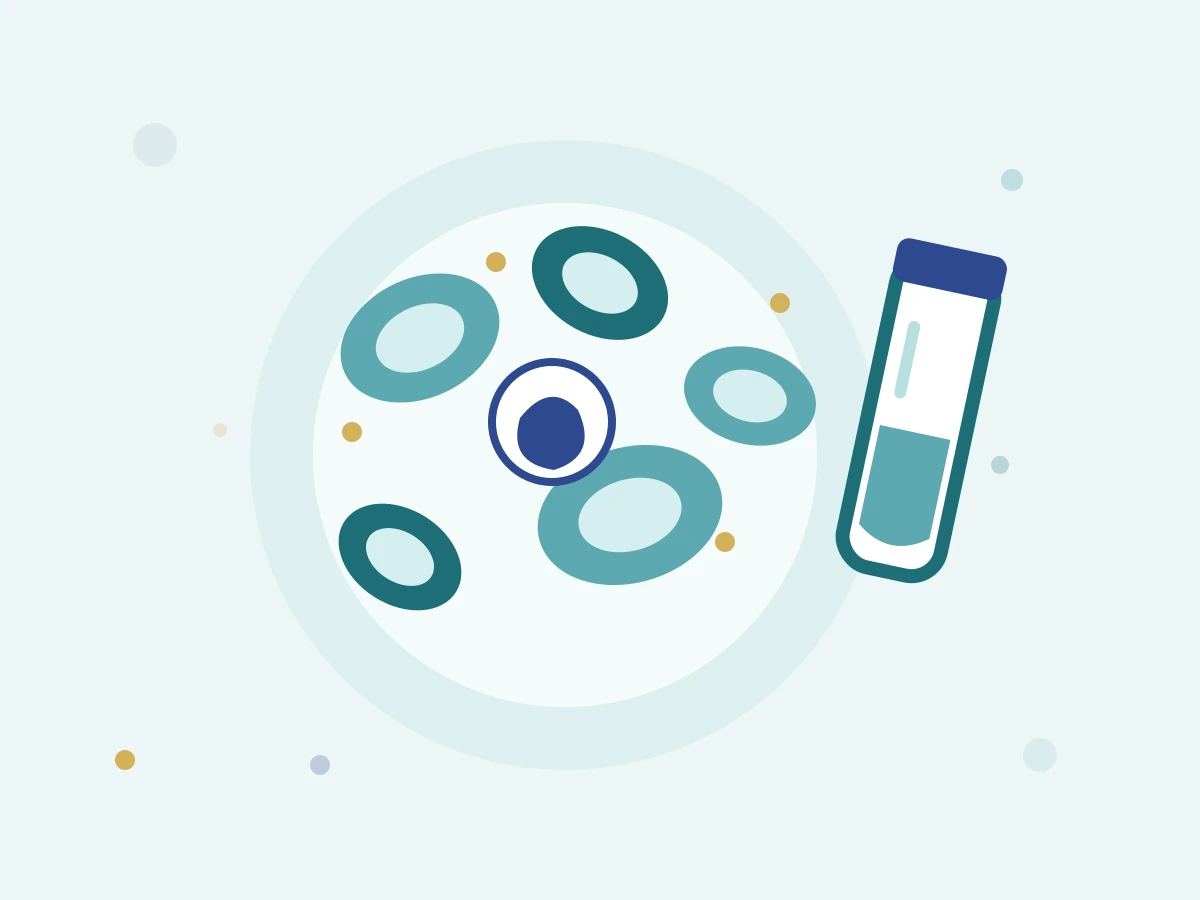 Haematology illustration